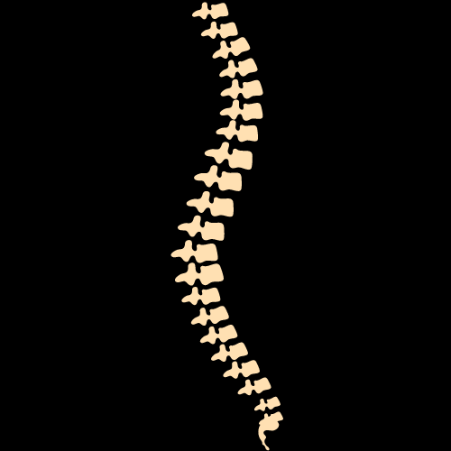 COLONNE VERTICALE 01